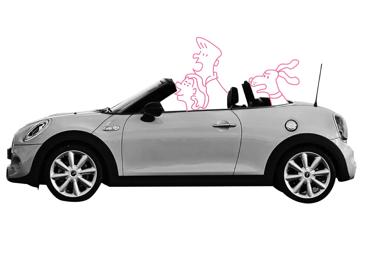 In einem Cabrio sitzt ein Pärchen und ein Hund auf dem Rücksitz.