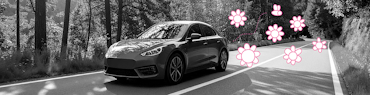 Auto fährt über eine Landstraße