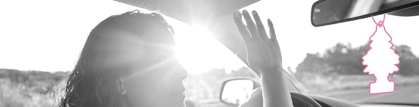 Tief stehende Sonne blendet beim Autofahren