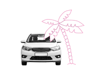 Ein Auto fährt an einer Palme vorbei