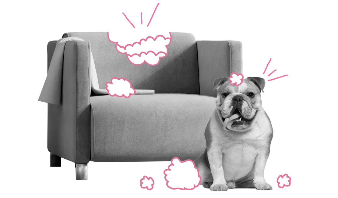 Hundehalterhaftpflicht