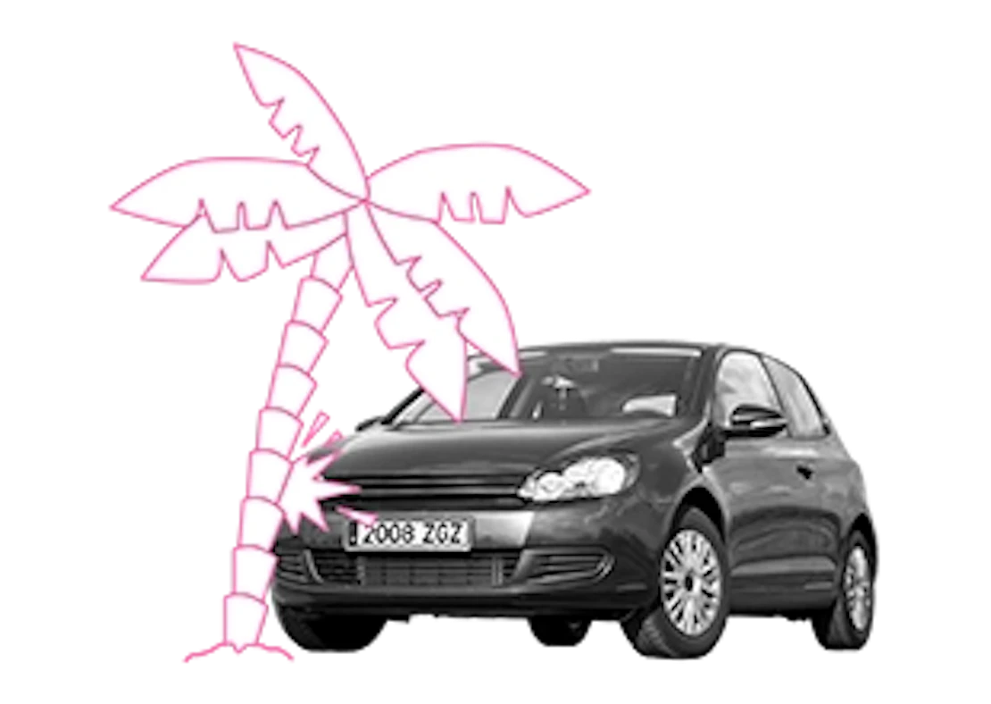 Auto fährt gegen eine Palme