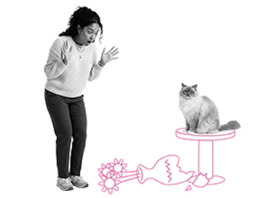 Eine Katze sitzt auf einem Tisch und hat eine Vase auf den Boden geworfen