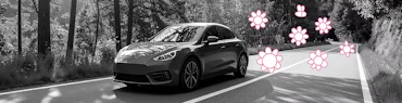 Auto fährt über eine Landstraße