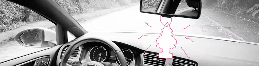 unangenehmer Geruch im Auto