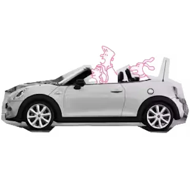 auto