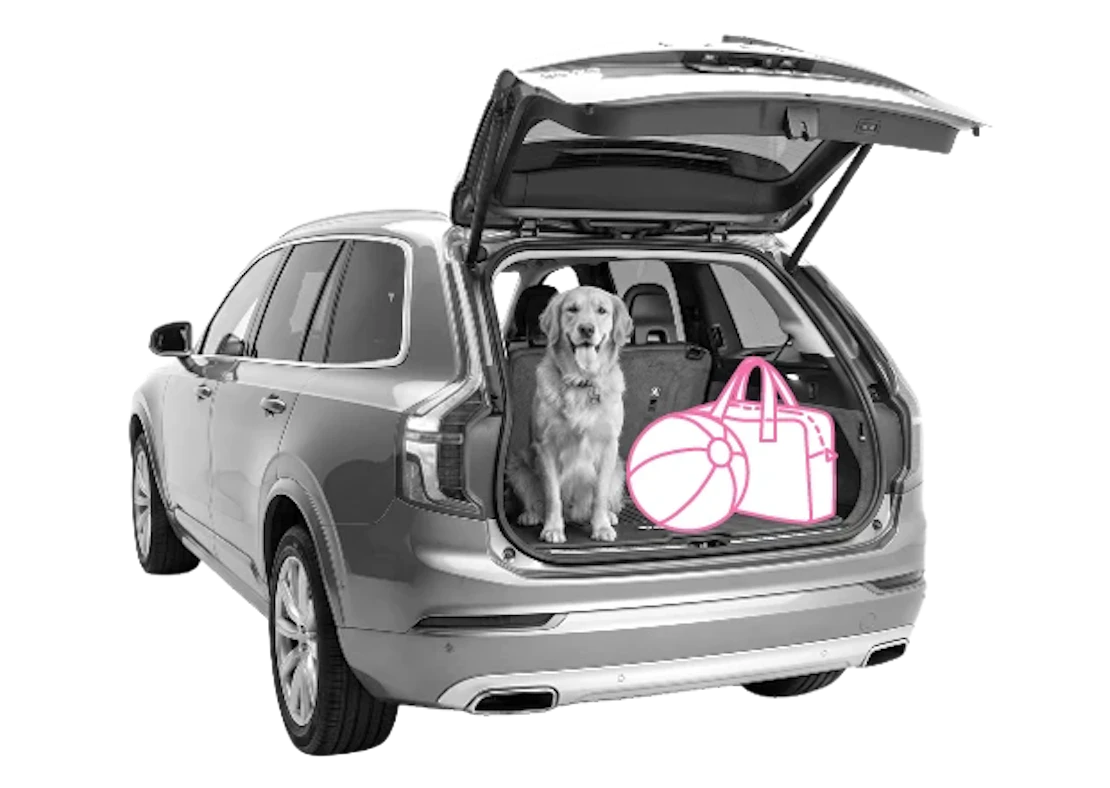 Ein Hund sitzt neben Koffer und Ball im Kofferraum eines Autos